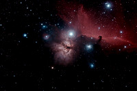 Horsehead and Flame from the Winter Star Party 2010