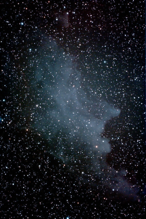 IC 2118 The Witch Head Nebula